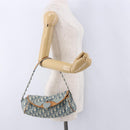Christian Dior Trotter Canvas Romantic Chain Bag PVC Blue Silver Auth 197045SAM-23