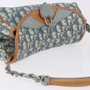 Christian Dior Trotter Canvas Romantic Chain Bag PVC Blue Silver Auth 197045SAM-6