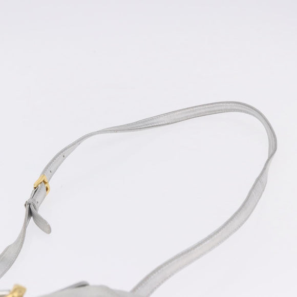 LOEWE Shoulder Bag Leather Gold Silver Auth 197104