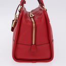 LOEWE Amazona 28 Hand Bag Leather Red Gold Auth 197185SAM-3