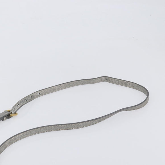 PRADA Hand Bag Vittero Dino Leather 2way Silver Gold Auth 197342V