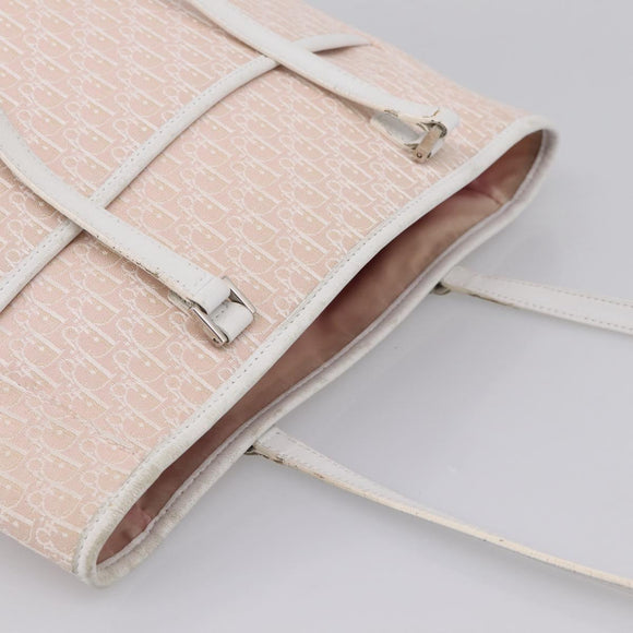 Christian Dior Trotter Canvas Shoulder Bag Pink Silver Auth 197815A