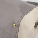 FENDI Chameleon Hand Bag Leather 2way Gray Gold Tone 8BL110 Auth 198625A-15