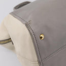 FENDI Chameleon Hand Bag Leather 2way Gray Gold Tone 8BL110 Auth 198625A-18