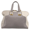 FENDI Chameleon Hand Bag Leather 2way Gray Gold Tone 8BL110 Auth 198625A-13