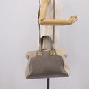 FENDI Chameleon Hand Bag Leather 2way Gray Gold Tone 8BL110 Auth 198625A-26