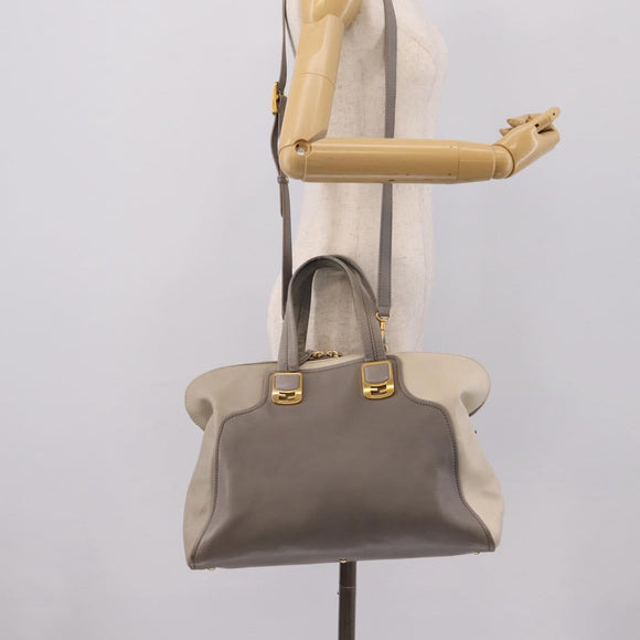 FENDI Chameleon Hand Bag Leather 2way Gray Gold Tone 8BL110 Auth 198625A