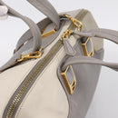 FENDI Chameleon Hand Bag Leather 2way Gray Gold Tone 8BL110 Auth 198625A-6