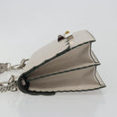 FENDI Canay Chain Shoulder Bag Leather 2way Gray Silver 8BT283 Auth 198665M-4