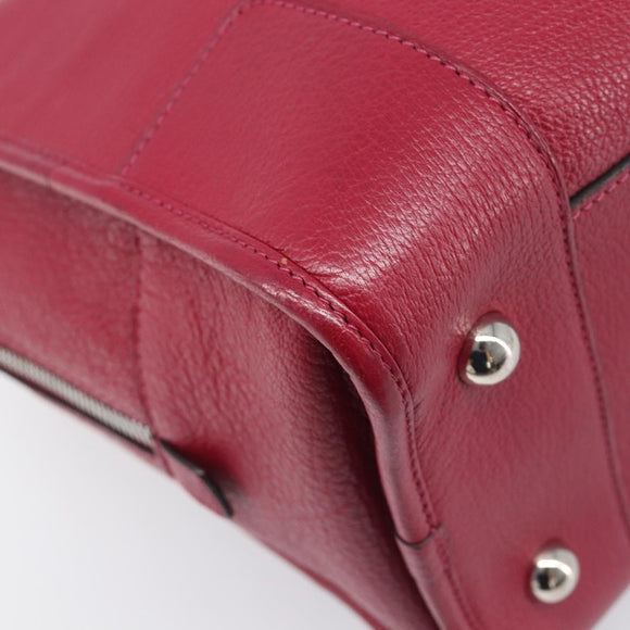 LOEWE Amazona 36 Hand Bag Leather Red Silver Auth 198687V