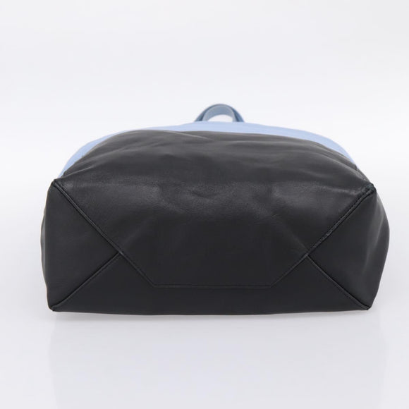 CELINE Horizontal Kabbalaj Hand Bag Leather Light Blue Gold Auth 198720A
