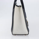CELINE Luggage Micro shopper Hand Bag Leather White Gold Tone Auth 198867A-5