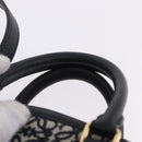 LOEWE Anagram Amazona 16 Hand Bag Canvas 2way Black Gold Tone Auth 199041SAM-14