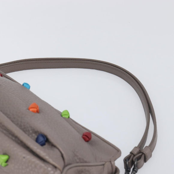 BOTTEGA VENETA Shoulder Bag Leather Gray Multicolor 210993 Auth 199078A