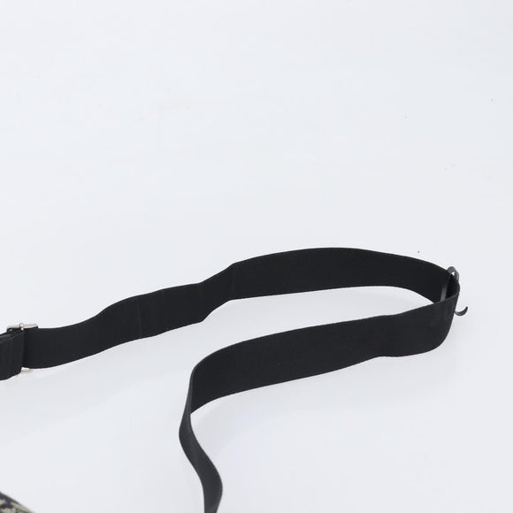 Christian Dior Trotter Canvas Shoulder Bag Black Silver Auth 199429