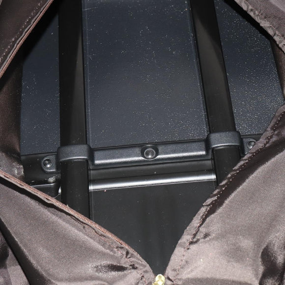 LOUIS VUITTON Damier Ebene Pegas 55 Suitcase N23294 LV Auth 199581A