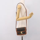 CELINE Triomphe Shoulder Bag PVC Leather Brown Gold Tone Auth 199806SM-25