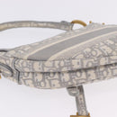 Christian Dior Trotter Canvas Saddle Oblique Bag Gray Gold Auth 199836SM-12