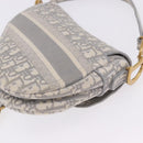 Christian Dior Trotter Canvas Saddle Oblique Bag Gray Gold Auth 199836SM-13