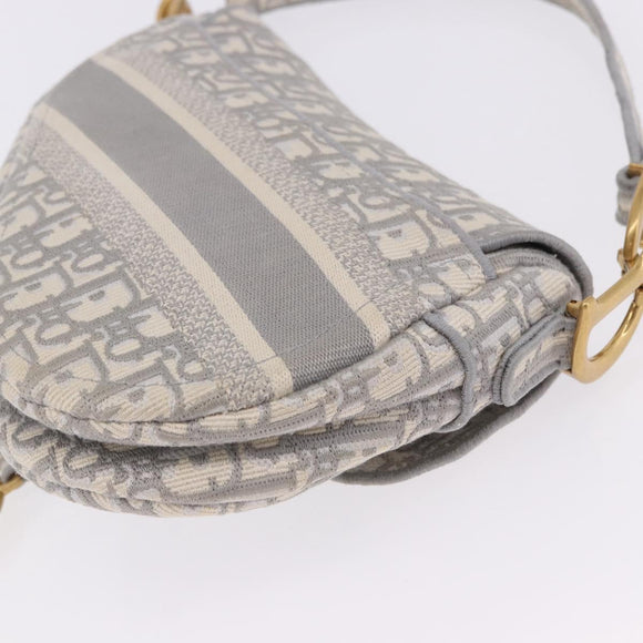 Christian Dior Trotter Canvas Saddle Oblique Bag Gray Gold Auth 199836SM