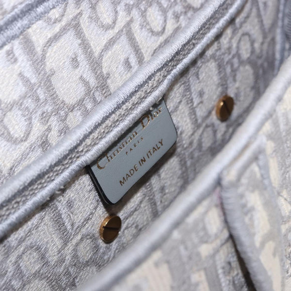Christian Dior Trotter Canvas Saddle Oblique Bag Gray Gold Auth 199836SM