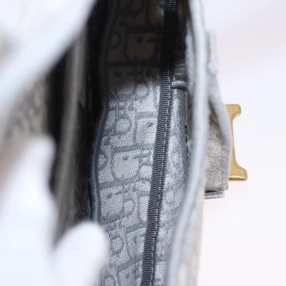 Christian Dior Trotter Canvas Saddle Oblique Bag Gray Gold Auth 199836SM