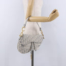 Christian Dior Trotter Canvas Saddle Oblique Bag Gray Gold Auth 199836SM-22