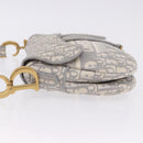 Christian Dior Trotter Canvas Saddle Oblique Bag Gray Gold Auth 199836SM-5