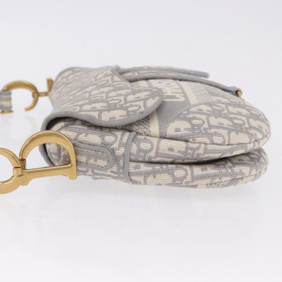 Christian Dior Trotter Canvas Saddle Oblique Bag Gray Gold Auth 199836SM
