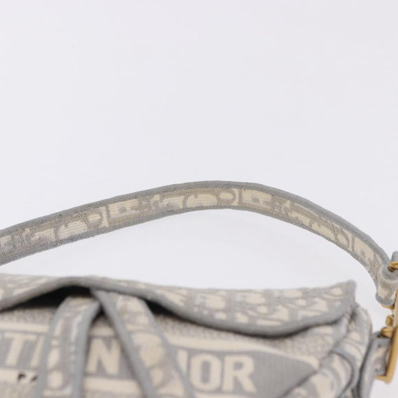 Christian Dior Trotter Canvas Saddle Oblique Bag Gray Gold Auth 199836SM