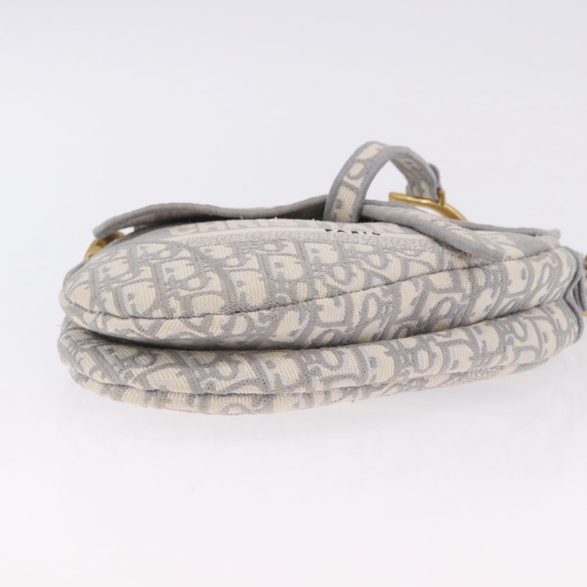 Christian Dior Trotter Canvas Saddle Oblique Bag Gray Gold Auth