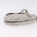 Christian Dior Trotter Canvas Saddle Oblique Bag Gray Gold Auth 199836SM-9