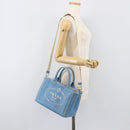 LOUIS VUITTON Canapa PM Hand Bag Canvas 2way Light Blue Gold LV Auth 199874V-27