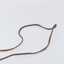 GUCCI GG Supreme Web Sherry Line Bag PVC Beige Gold 89 02 066 Auth 199976-8