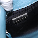 LOEWE Shoulder Bag Canvas Silver Beige Auth 200063A-18