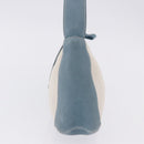 LOEWE Shoulder Bag Canvas Silver Beige Auth 200063A-3