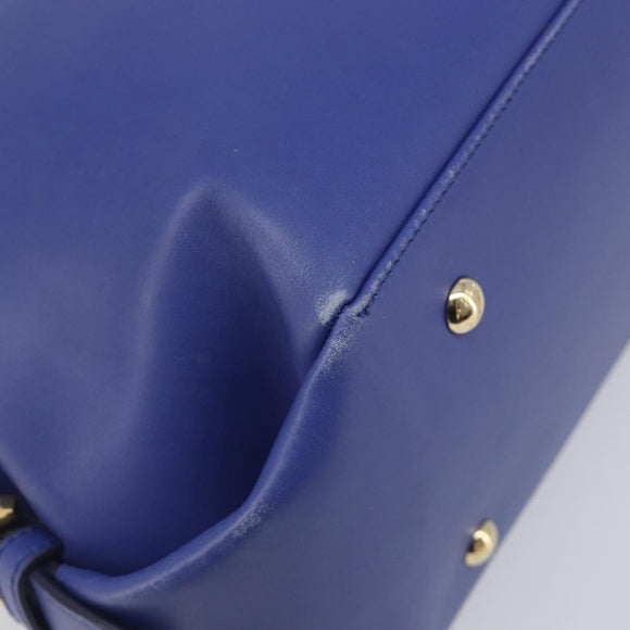 Salvatore Ferragamo Hand Bag Leather 2way Blue Gold Tone Auth 200138A