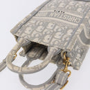 Christian Dior Trotter Canvas Oblique Book Tote Mini Bag 2way Gray Auth 200245V-6