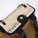 CHANEL Chain Shoulder Bag Raffia 2way Beige Gold CC Auth 200780SAM-17