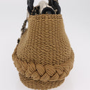 CHANEL Chain Shoulder Bag Raffia 2way Beige Gold CC Auth 200780SAM-4