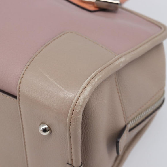 LOEWE Amazona 28 Hand Bag Leather Pink Silver Auth 200805V