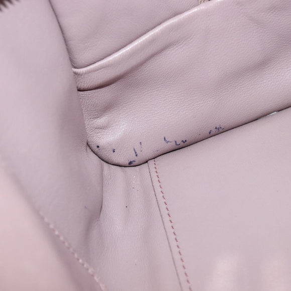 LOEWE Amazona 28 Hand Bag Leather Pink Silver Auth 200805V