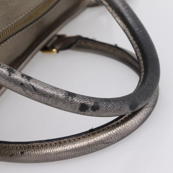LOEWE Amazona 36 Hand Bag Leather Gold Silver Auth 200941