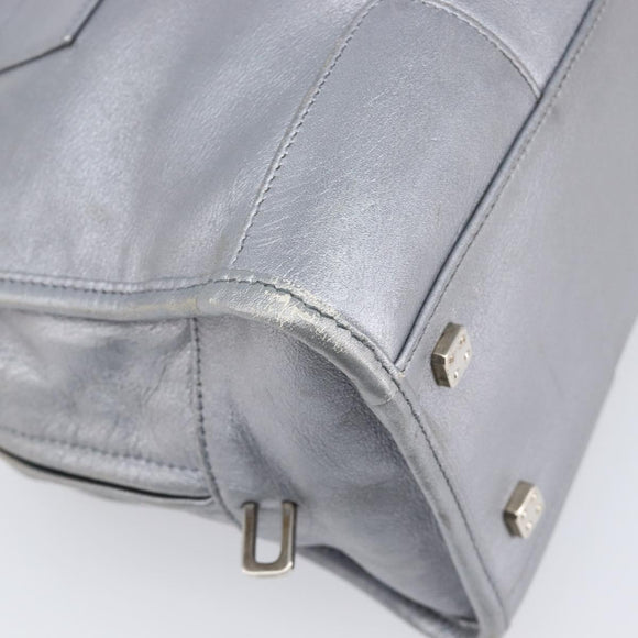 LOEWE Amazona 28 Hand Bag Leather Silver Gold Auth 200992V