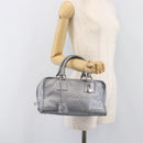 LOEWE Amazona 28 Hand Bag Leather Silver Gold Auth 200992V-25