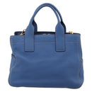 Miu Miu Hand Bag Vittero Dino Leather 2way Blue Gold Auth 201907V-2