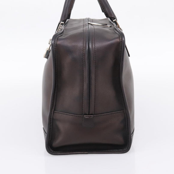 LOEWE Amazona 36 Hand Bag Leather Bronze Silver Auth 201931V