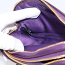 Miu Miu Hand Pouch Leather Purple Gold Auth 202035V-21