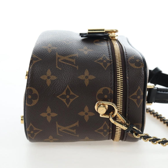 LOUIS VUITTON Monogram Reverse Vanity NVPM Hand Bag 2way M45165 LV Auth 202201SM