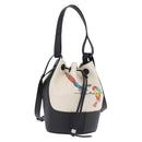 LOEWE Paula's Ibiza Collaboration Bag Canvas 2way Ivory Silver Auth 202301M-1
